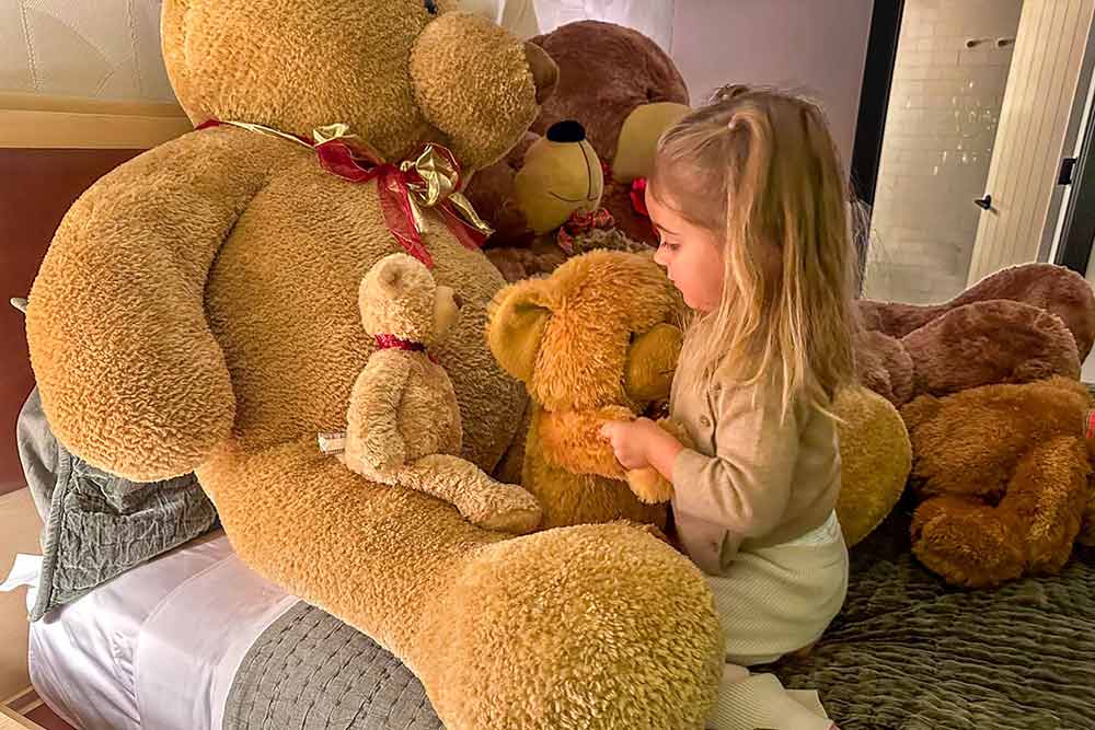 The Most Enchanting Places on Martha’s Vineyard to Visit This Holiday Season Martha's Vineyard Teddy Bear Suite Fundraiser