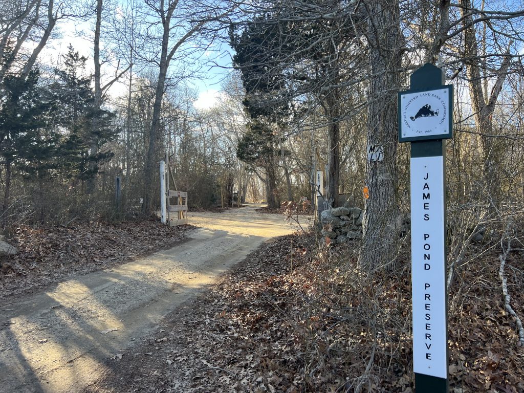 James Pond Preserve - A New Way To Enjoy Lambert's Cove Beach on Martha's Vineyard Beach Access And Much More