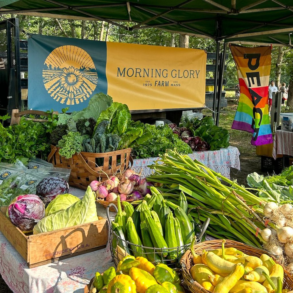 Enjoy The Summer Bounty Of Martha's Vineyard With Local CSA Options Morning Glory Farm