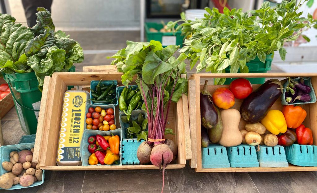 Enjoy The Summer Bounty Of Martha's Vineyard With Local CSA Options IGI Summer CSA Bounty