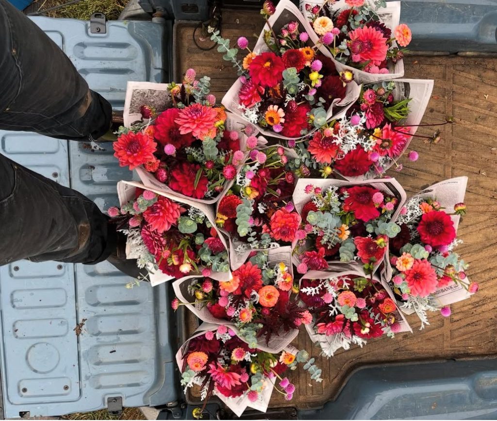 Enjoy The Summer Bounty Of Martha's Vineyard With Local CSA Options Fire Cat Farm Flower CSA